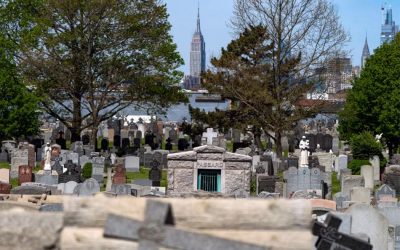 Finding Solace in a Cemetery, National Catholic Register